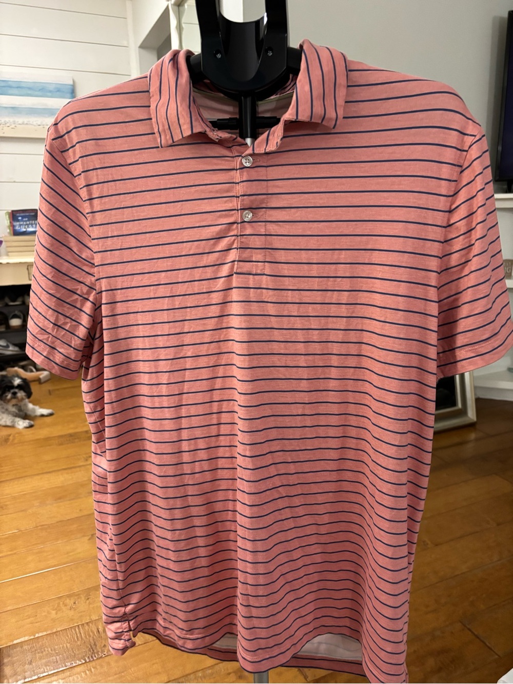 J. Crew Coral Pink Polo with Navy Stripes